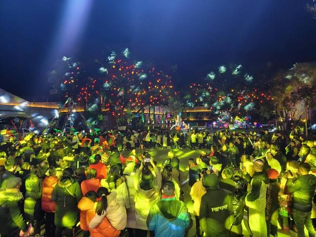 高坪丝绸源点新春艺术彩灯会。（南充市文广旅局供图）