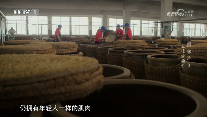 图：《中国酿造》纪录片中海天食醋酿造匠人