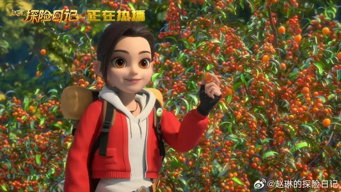 《赵琳的探险日记》