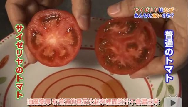 图：萨莉亚自研番茄种子