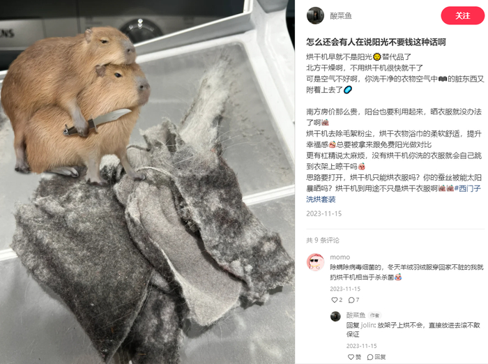 图源：小红书@酸菜鱼