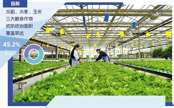 农民在河北省迁西县五海生态观光园内打理无土栽培的蔬菜。