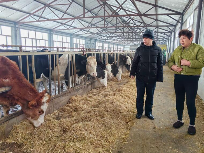 建设银行齐齐哈尔分行工作人员（左）到方义龙经营的肉牛繁殖基地调研金融需求。李刚/摄