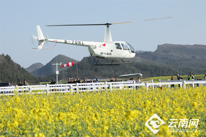 【高清组图】曲靖罗平:百万亩油菜花竞相绽放_新浪新闻