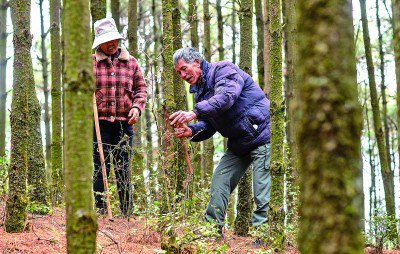 新华社发广西龙胜各族自治县龙脊镇满田小学退休返聘教师潘从汉在课堂