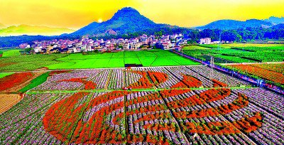     广东省韶关市乐昌市和村打造的农业生态乡村游景观。陈跃进摄/光明图片