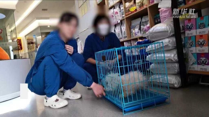 图源新华社