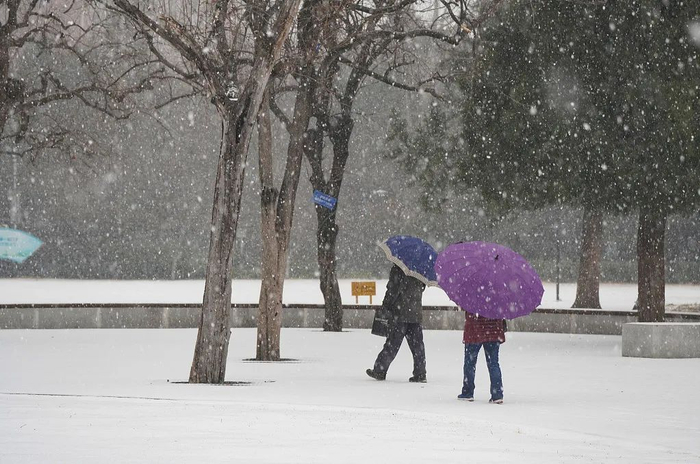 △20日，河南郑州下起大雪。
