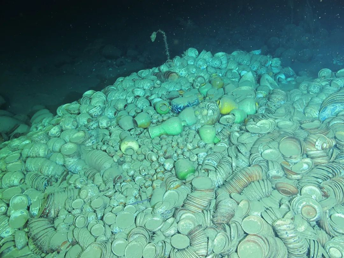 △  南海西北陆坡一号沉船遗址核心区陶瓷器堆积情况