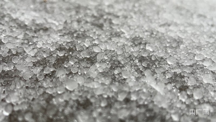 2月20日,郑州下起"冰雹"雨,雨中夹杂很多小冰粒(央广网记者 张丽娜 摄