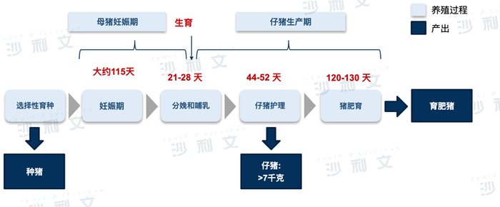 来源：沙利文分析