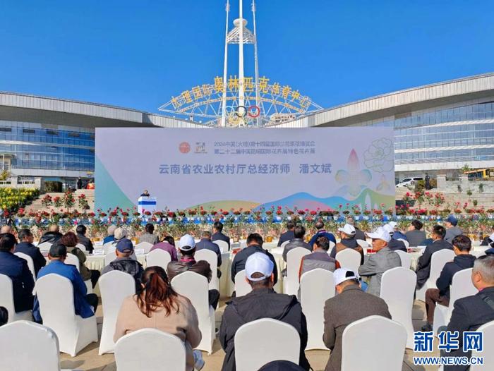 开幕式现场（2月20日摄）。新华网发（杨亦麟 摄）