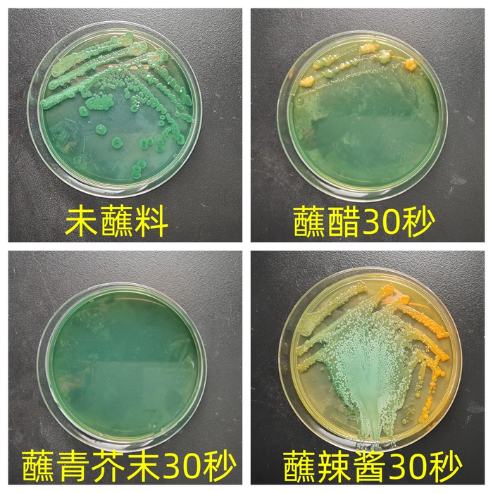 蘸料汁浸泡后结果。