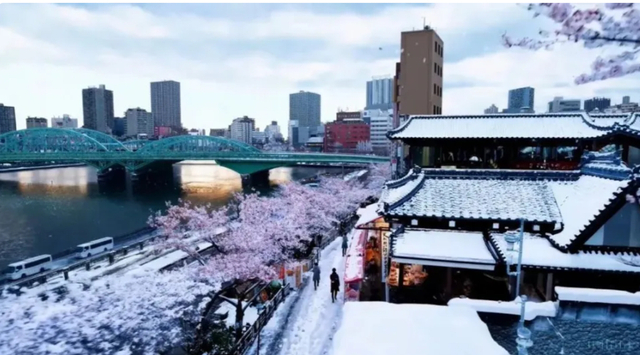 图片来源：Sora生成视频截屏