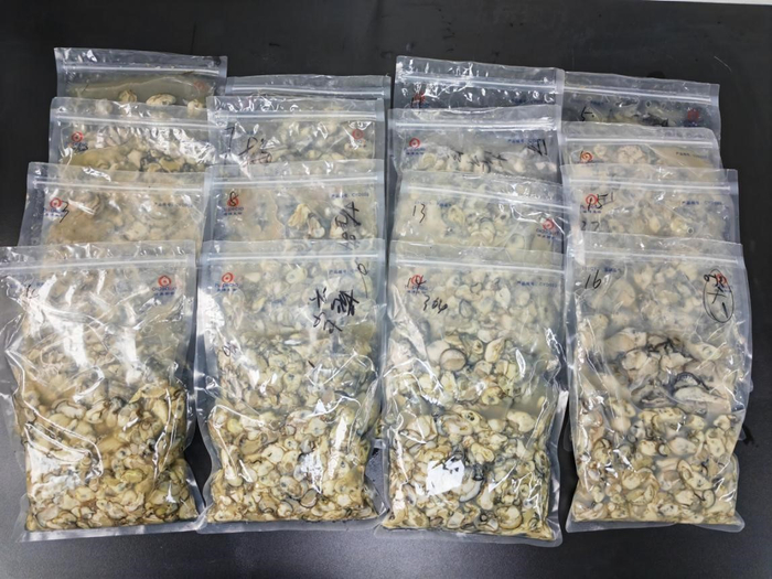 购买的牡蛎样品。