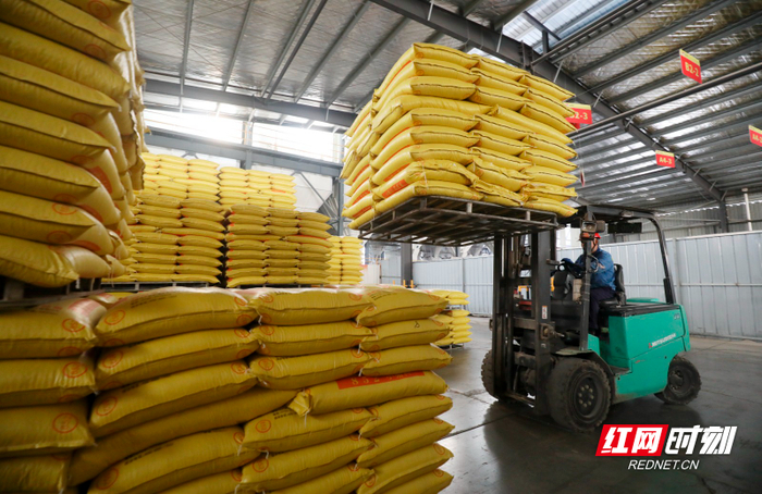 资兴:新春生产忙 抢抓"开门红"|饲料_新浪新闻