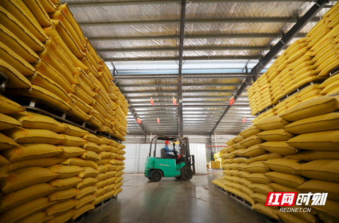 资兴:新春生产忙 抢抓"开门红"|饲料_新浪新闻