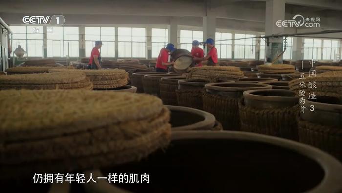 图：《中国酿造》纪录片中海天食醋酿造匠人