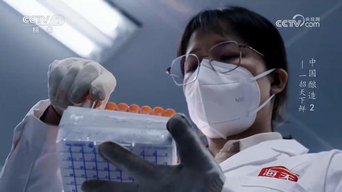 图：《中国酿造》纪录片中海天菌种实验室