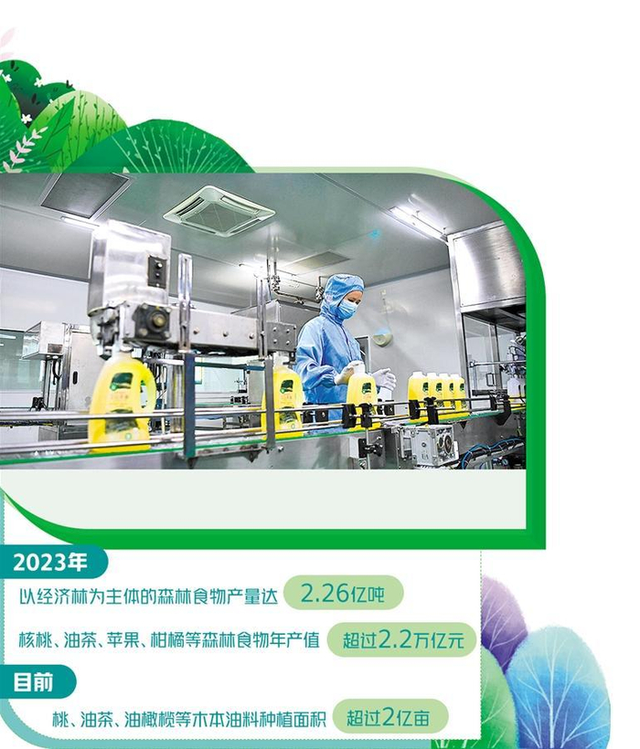     广东韶关乳源瑶族自治县广东宝华农业科技股份有限公司车间内，工作人员正在茶油灌装生产线上忙碌。新华社记者 邓 华摄