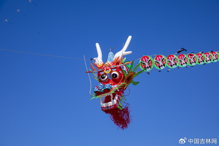 龙形风筝（来源：视觉中国）