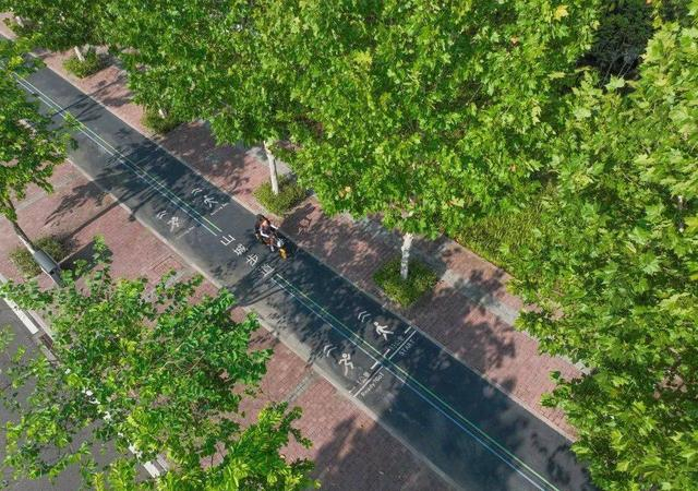 市民在两江新区礼嘉山城步道骑行。张锦辉/摄