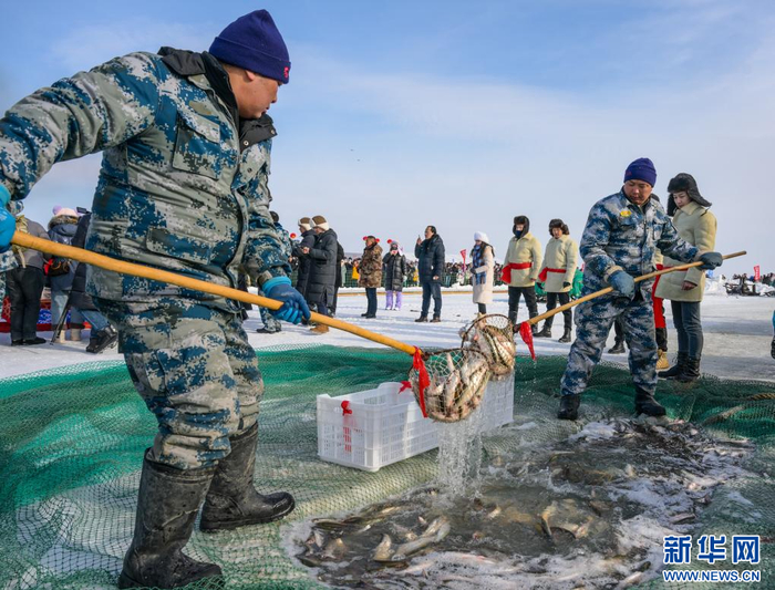 内蒙古达里湖冬捕旅游季上，工作人员在捞鱼装箱。新华社记者 彭源 摄
