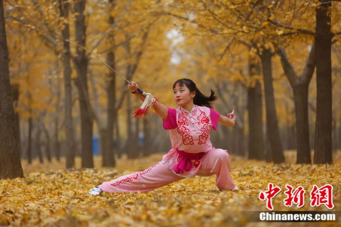 　　《红袖善舞》闫成磊 摄