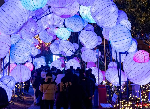 ▲第53届成都国际熊猫灯会 陶轲摄