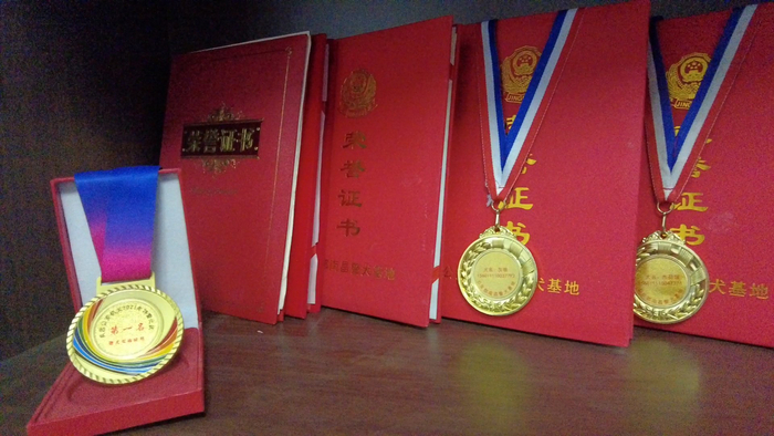 近年来，四师公安局特警支队警犬大队荣获的荣誉和奖章。