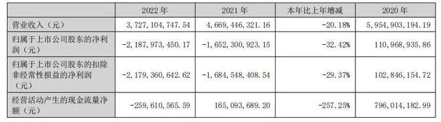 ▲截图来源：宝鹰股份财报