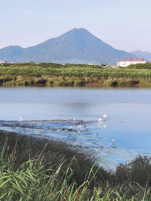 窗外的木兰溪 黄明安 摄