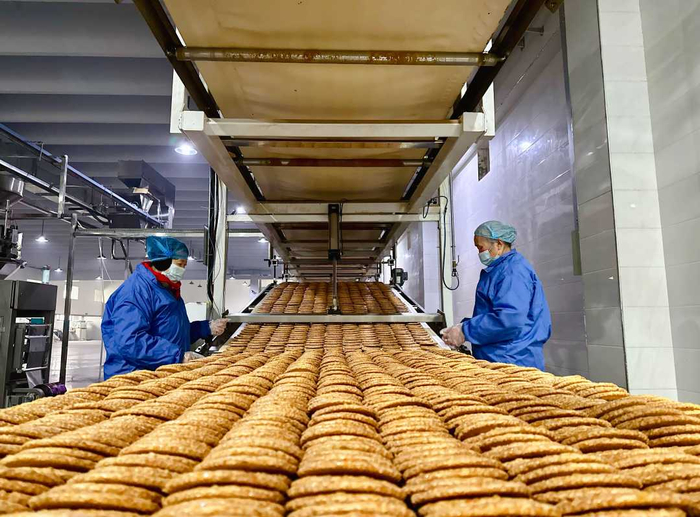 河北麦客食品有限公司的饼干生产线。胡盼玲摄