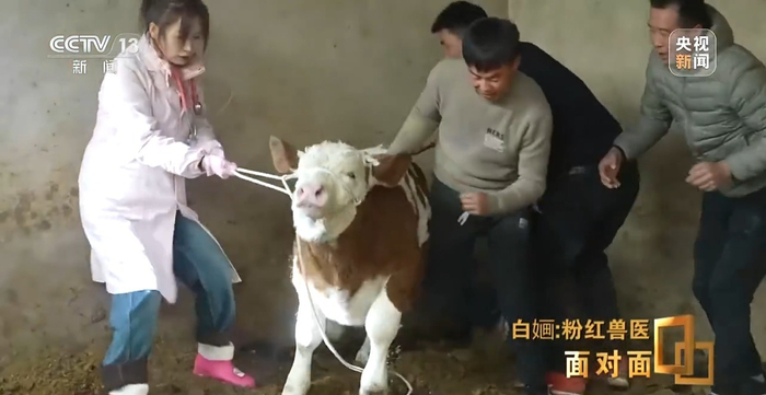 央视《面对面》专访宁夏95后粉红兽医白婳:主动转专