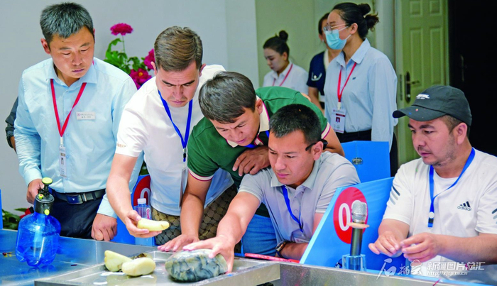 　　在新疆和田玉石交易中心公盘交易现场，大家认真品鉴和田玉籽料原石（摄于2023年6月）。张亚辉摄