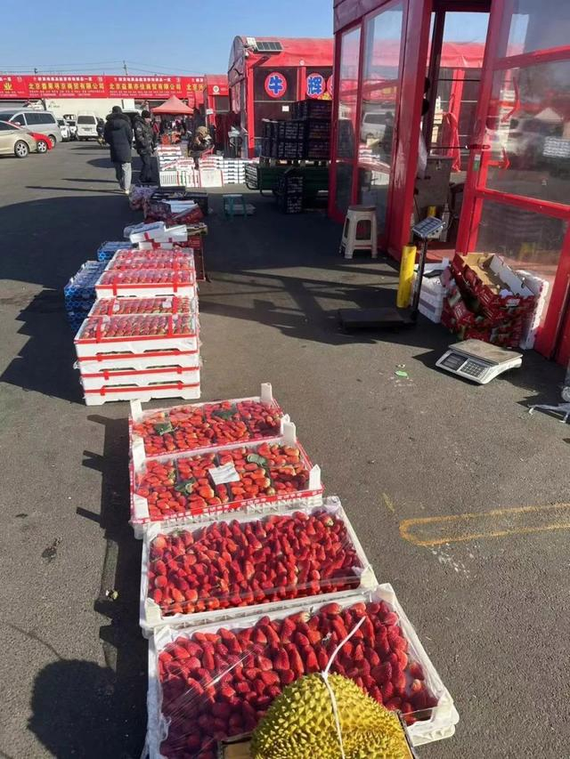 北京新发地市场精品水果交易区内售卖的草莓 本报记者 董添/摄