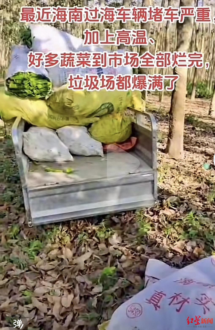 ▲辣椒滞销