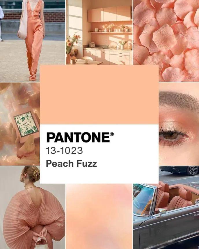 PANTONE 2024年度代表色——柔和桃