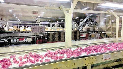     2月1日，邱县马大姐食品工业园生产车间里，果冻从生产线上源源不断生产出来。 河北日报记者 曹 智摄
