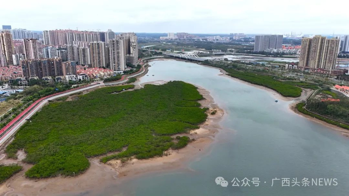 防城港市西湾红沙环生态海堤。黄粹釴 摄