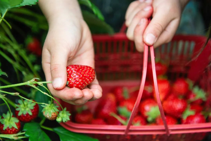 （图片来源：图虫创意）