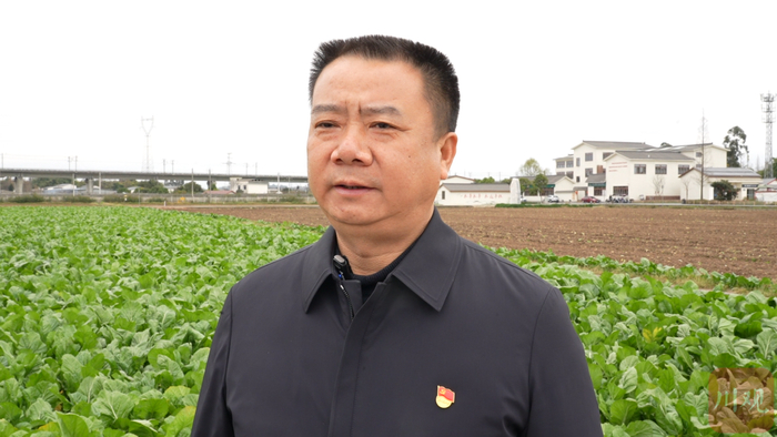 牢记嘱托 履职有我③丨田间地头澎湃发展新动能|四川