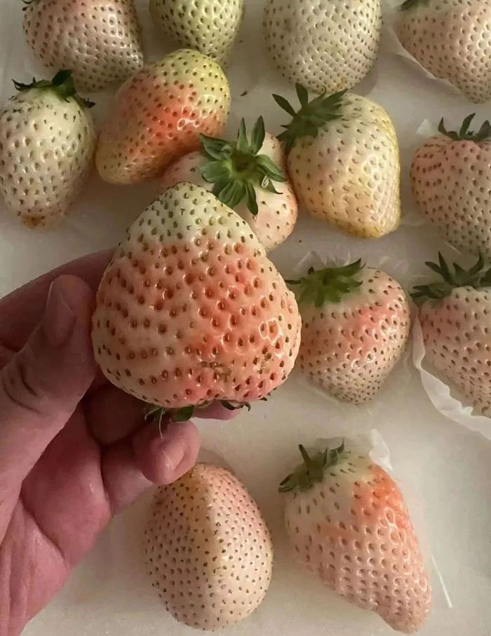 （图片来源：浙江经济广播）