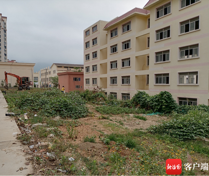 整改前，居民在小区空地内种植蔬菜。城北社区供图