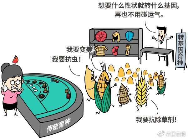 所以，查尔斯王子说“转基因技术把人带入上帝领域”并不准确，而应该是诺贝尔得主沃森（James Watson）说的：
