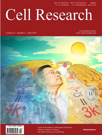 原设计封面图像 图片来源：受访者供图