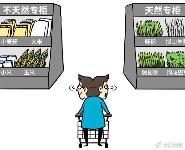 作者：游识猷
