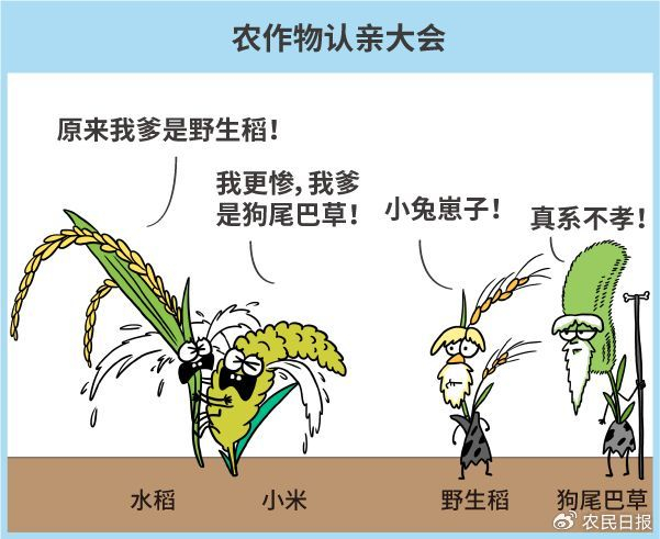 虽说自然变异和天然杂交逐渐改变了农作物的基因，但这个过程实在太太太漫长了！