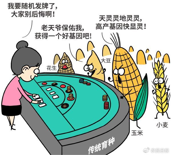 这种做法看起来很混乱，但是很有效，要不然人口也不会大幅增长。
