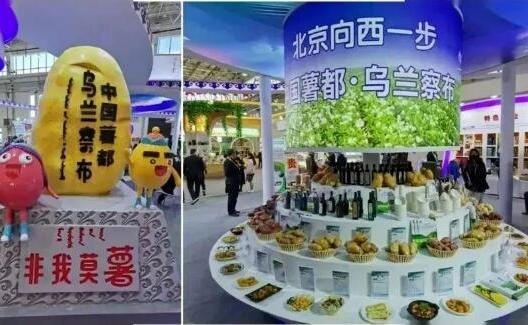 乌兰察布市全市冷凉蔬菜产品远销京津以及全国20多个大中城市。